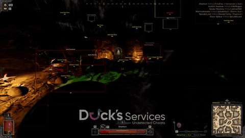 Dark and Darker ESP and Wallhack Demo GIF