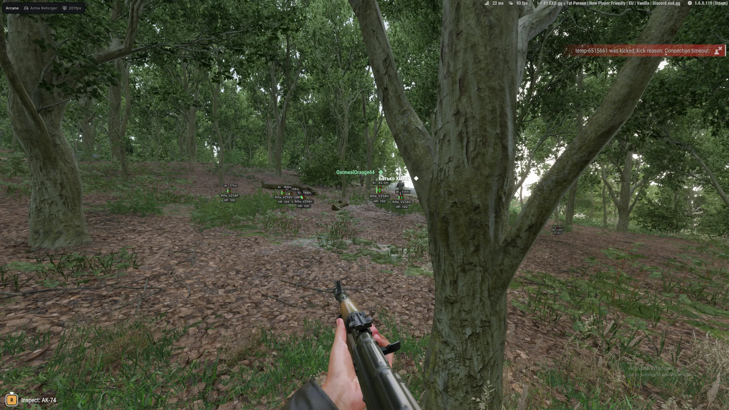 Arma Reforger Arcane