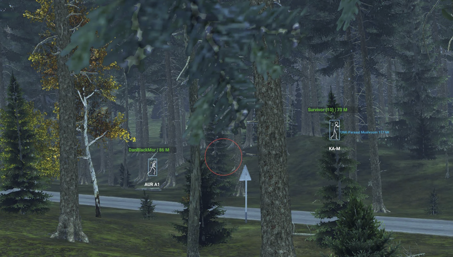 DayZ Crusader
