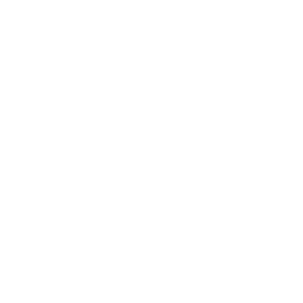 Insurgency Fecurity